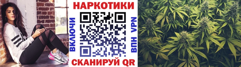 Где купить наркотики Старая Русса Гашиш  Cocaine  Меф мяу мяу  А ПВП  Бошки Шишки 
