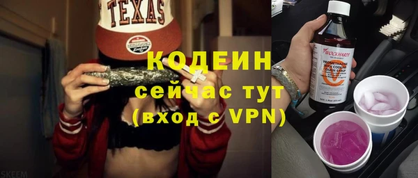 индика Всеволожск