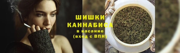 крисы Нягань