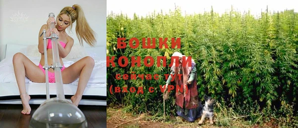 крисы Нягань