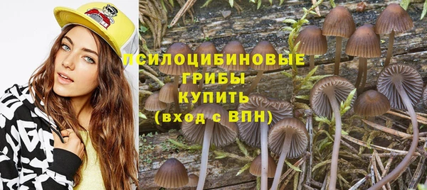mdma Няндома