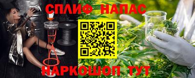 mdpv Можга