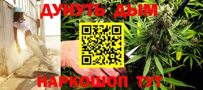 стаф Моздок