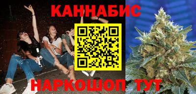 стаф Моздок