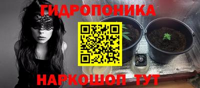 стаф Моздок