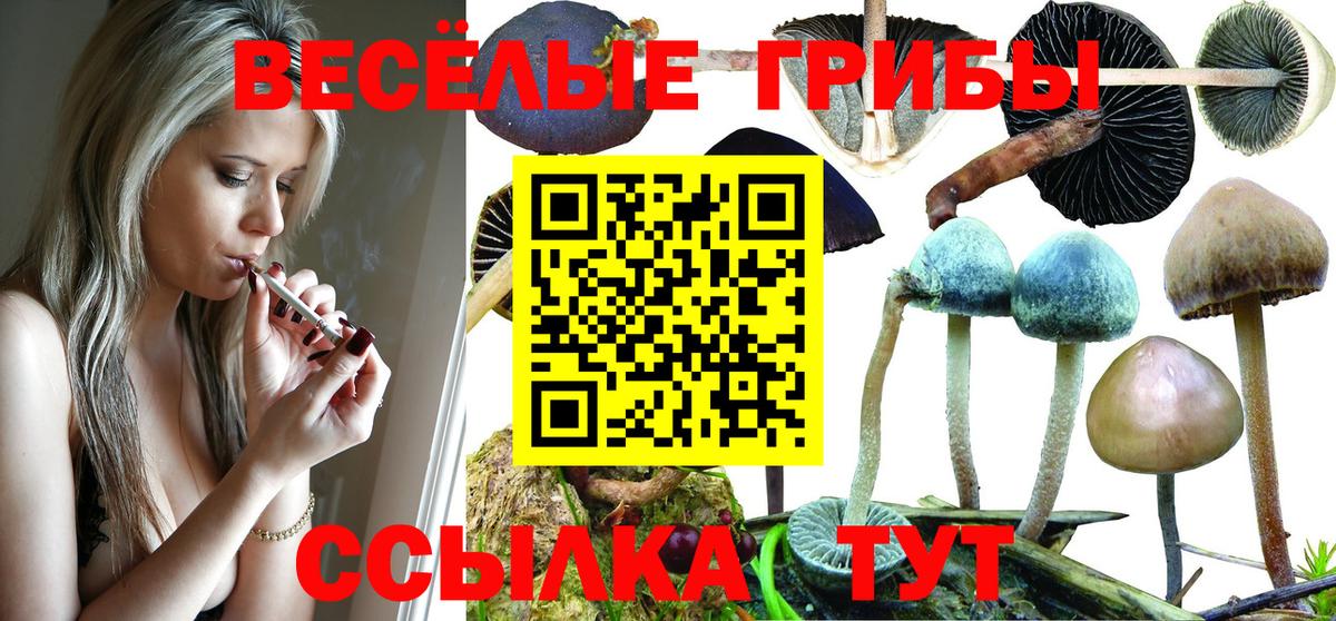 Галлюциногенные грибы GOLDEN TEACHER Старая Русса